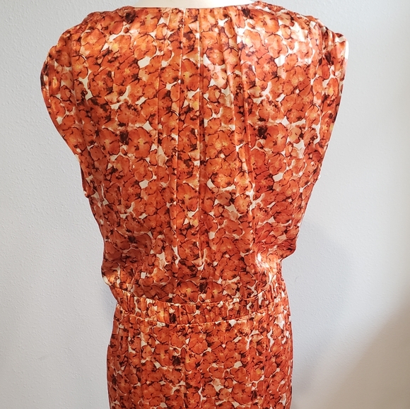 NWT Cynthia Steffe 100% Silk Dress - Picture 3 of 8